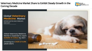 Veterinary Medicine Market Share to Exhibit Steady Growth in the Coming Decade