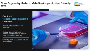 Tissue Engineering Market to Make Great Impact in Near Future by 2027