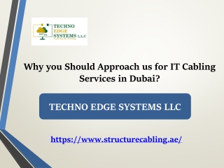 Why you Should Approach us for IT Cabling Services in Dubai?