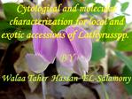 Cytological and molecular characterization for local and exotic accessions of Lathyrus spp.