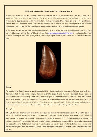 Everything You Need To Know About Carcharodontosaurus