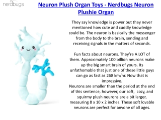 Nerdbugs Shop for Brain Plush Toys - Heart Organ Toys & Much More