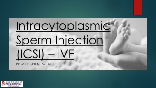 Intracytoplasmic Sperm Injection (ICSI) – IVF