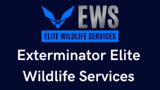 Exterminator - Elite Wildlife Services