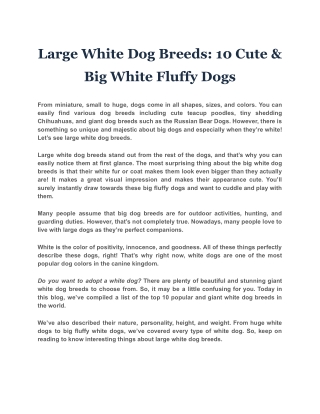 Large White Dog Breeds: 10 Cute & Big White Fluffy Dogs