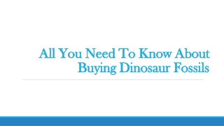 All You Need To Know About Buying Dinosaur Fossils