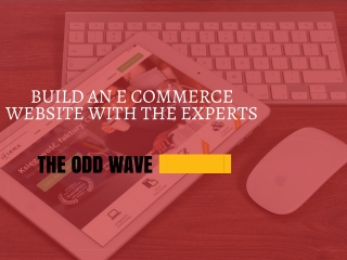 Build An E Commerce Website With The Experts