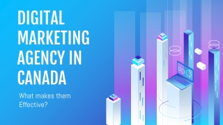 Digital Marketing Agency in Canada- What makes Them Effective?