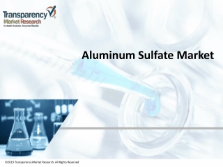 Aluminum Sulfate Market 