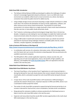 Multi-Cloud SDN Market