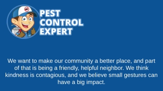 Affordable Pest Control Services - Pest Control Expert