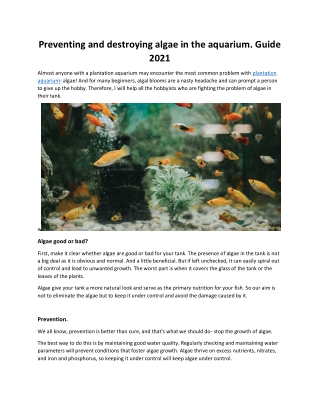 Preventing and destroying algae in the aquarium. Guide 2021