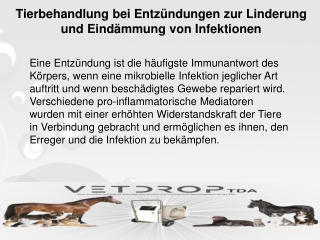 Tierbehandlung bei Entzündungen zur Linderung und Eindämmung von Infektionen