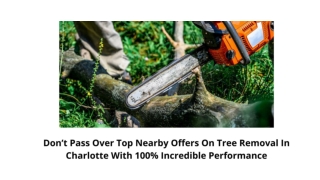 Don’t Pass Over Top Nearby Offers On Tree Removal In Charlotte With 100% Incredible Performance