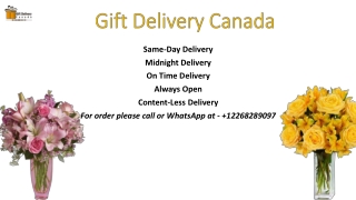 Send Online Fresh Alstroemeria Flowers to Canada | Gift Delivery Canada| FreePDF