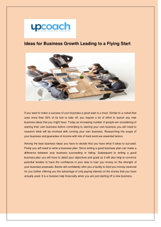 Ideas for Business Growth Leading to a Flying Start