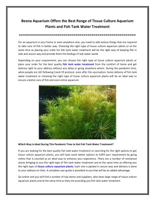 Beena Aquarium Offers the Best Range of Tissue Culture Aquarium Plants and Fish Tank Water Treatment