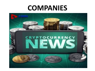 The best platform to buy cryptocurrency | Companies | Cryptocurrency News
