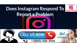 Does Instagram Respond To Report a Problem?