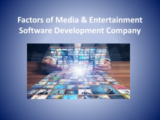 Factors of Media & Entertainment Software Development Company 1