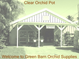 Clear Orchid pot and container at Green Barn Orchid supplies