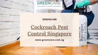 Best Cockroach Pest Control Singapore - Greencare