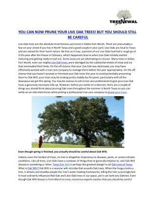 YOU CAN NOW PRUNE YOUR LIVE OAK TREES! BUT YOU SHOULD STILL BE CAREFUL
