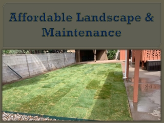 Affordable Landscape & Maintenance