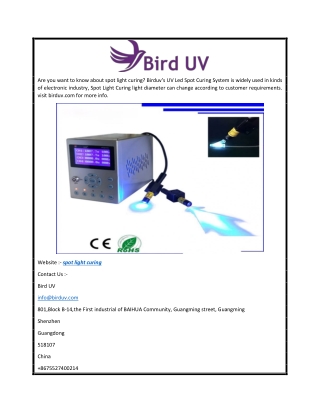 Spot Light Curing  Birduv.com