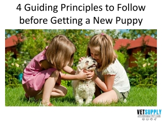 4 Guiding Principles to Follow before Getting a New Puppy | Puppy Supplies | Vet