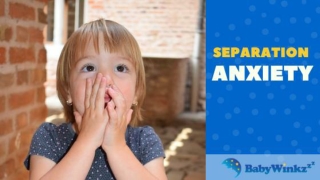 8 Tips for Easing Separation Anxiety