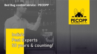 Bed Bug control service - PECOPP