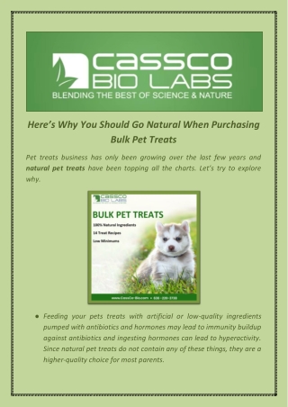 Here’s Why You Should Go Natural When Purchasing Bulk Pet Treats