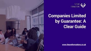 Companies Limited by Guarantee A Clear Guide