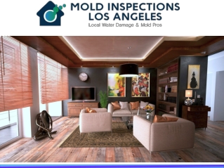 Mold Inspections Los Angeles