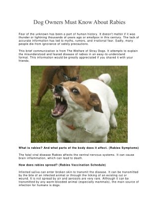 Dog Owners Must Know About Rabies