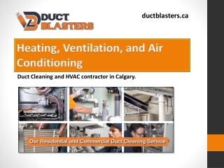 Furnace Repair, Duct Cleaning Services, AC Repair & Installation - Duct Blasters