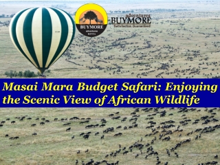 Masai Mara Budget Safari: Enjoying the Scenic View of African Wildlife