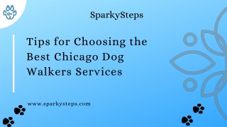 Tips for Choosing the Best Chicago Dog Walkers Services