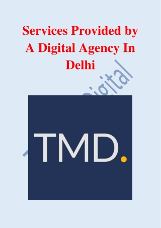 Services Provided by A Digital Agency In Delhi