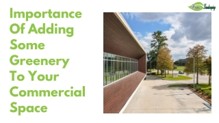 Importance Of Adding Some Greenery To Your Commercial Space