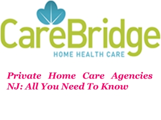 Private Home Care Agencies NJ: All You Need To Know