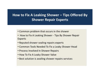 How to Fix A Leaking Shower – Tips Offered By Shower Repair Experts
