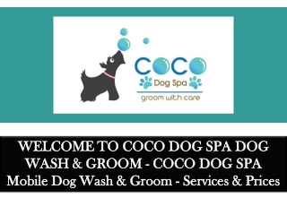 Dog hair cut perth wa