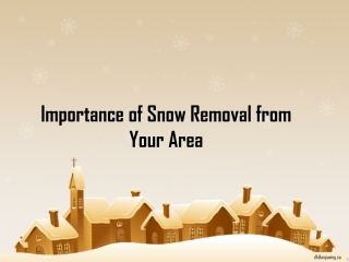 Importance of Snow Removal from Your Area