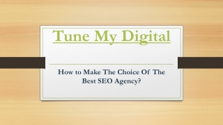 How to Make The Choice Of The Best SEO Agency?
