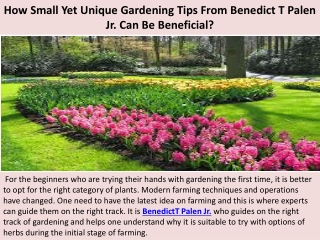 How Small Yet Unique Gardening Tips From Benedict T Palen Jr. Can Be Beneficial?