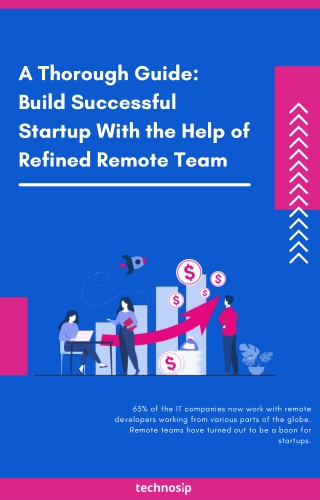 A Thorough Guide On Building Startup with the help of refined remote team