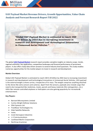 UAV Payload Market
