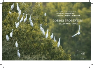 godrej properties talegaon pune brochure